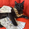Cash_0ut